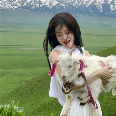 刀剑乱舞回-虚传燃烧的本能寺-