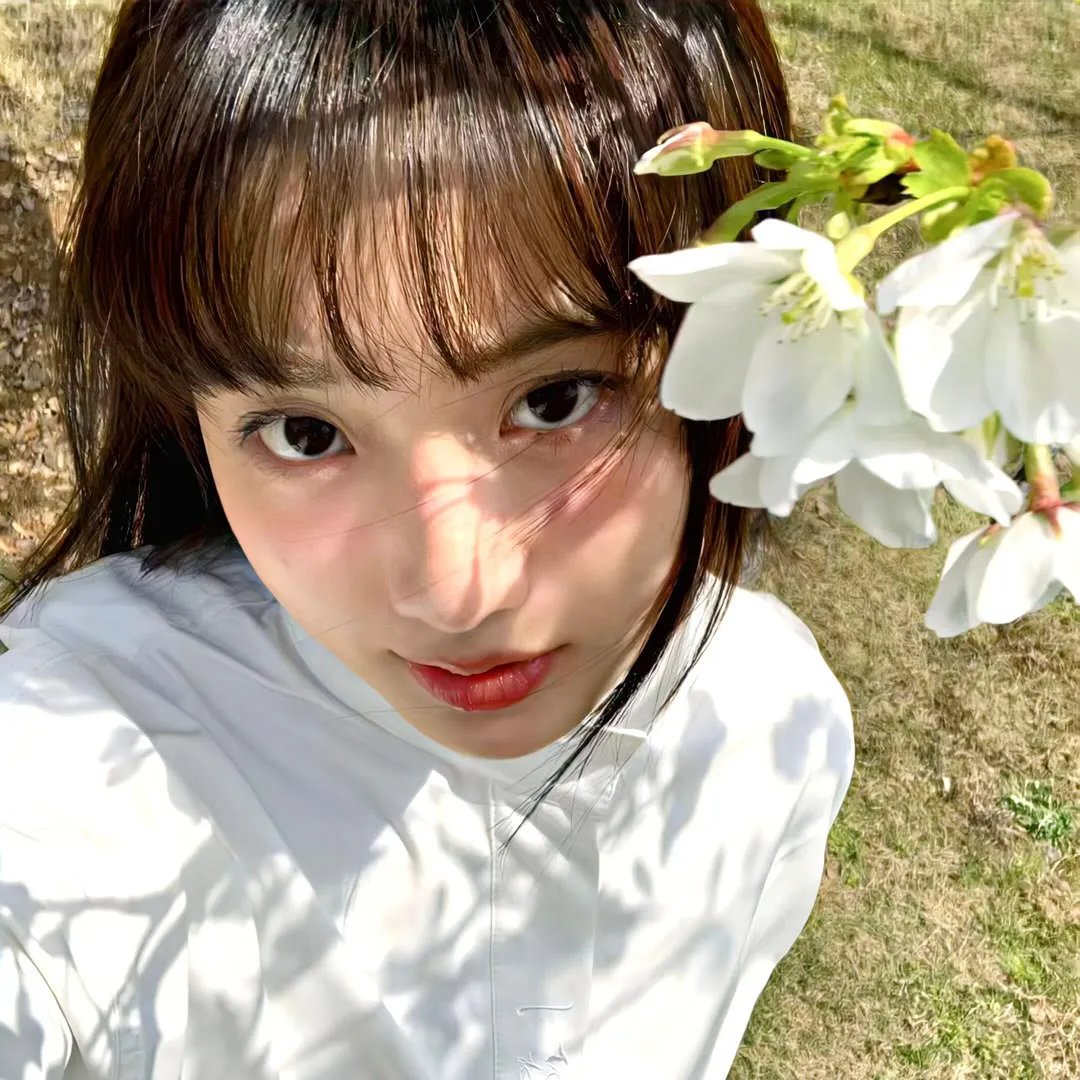 博尼法斯修女探案集 第一季